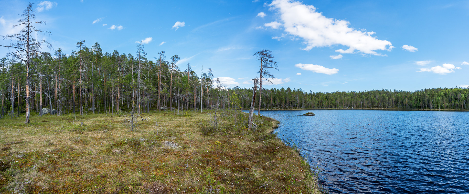 Älgtjärnen.