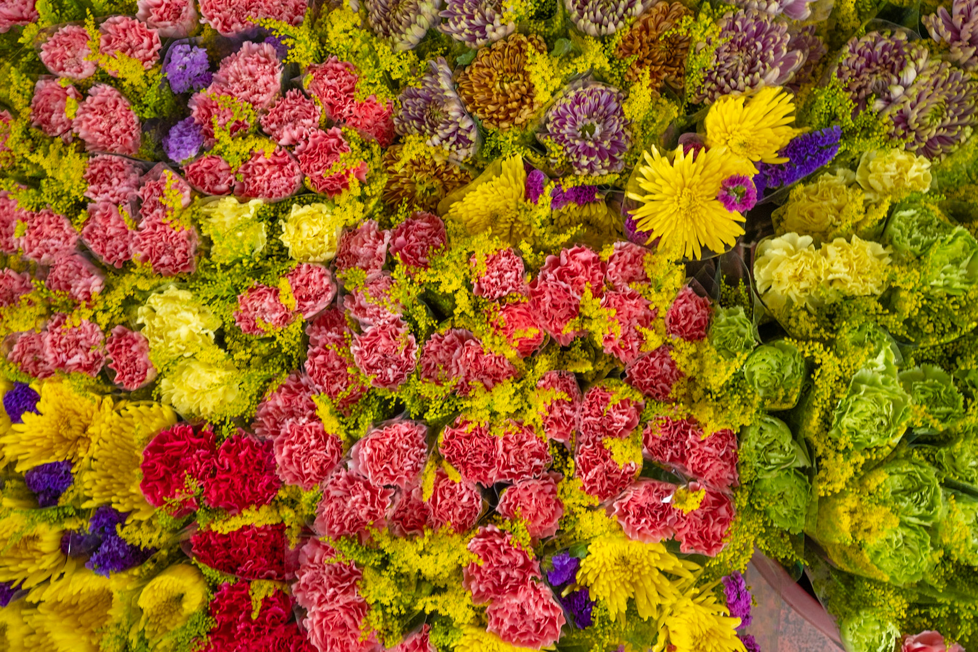 Bangkok: Blumenmarkt