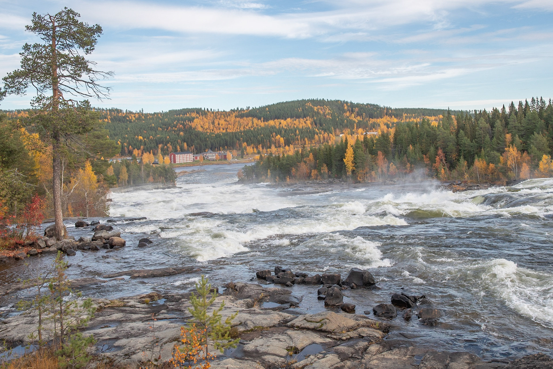   Stromschnellen von Storforsen,