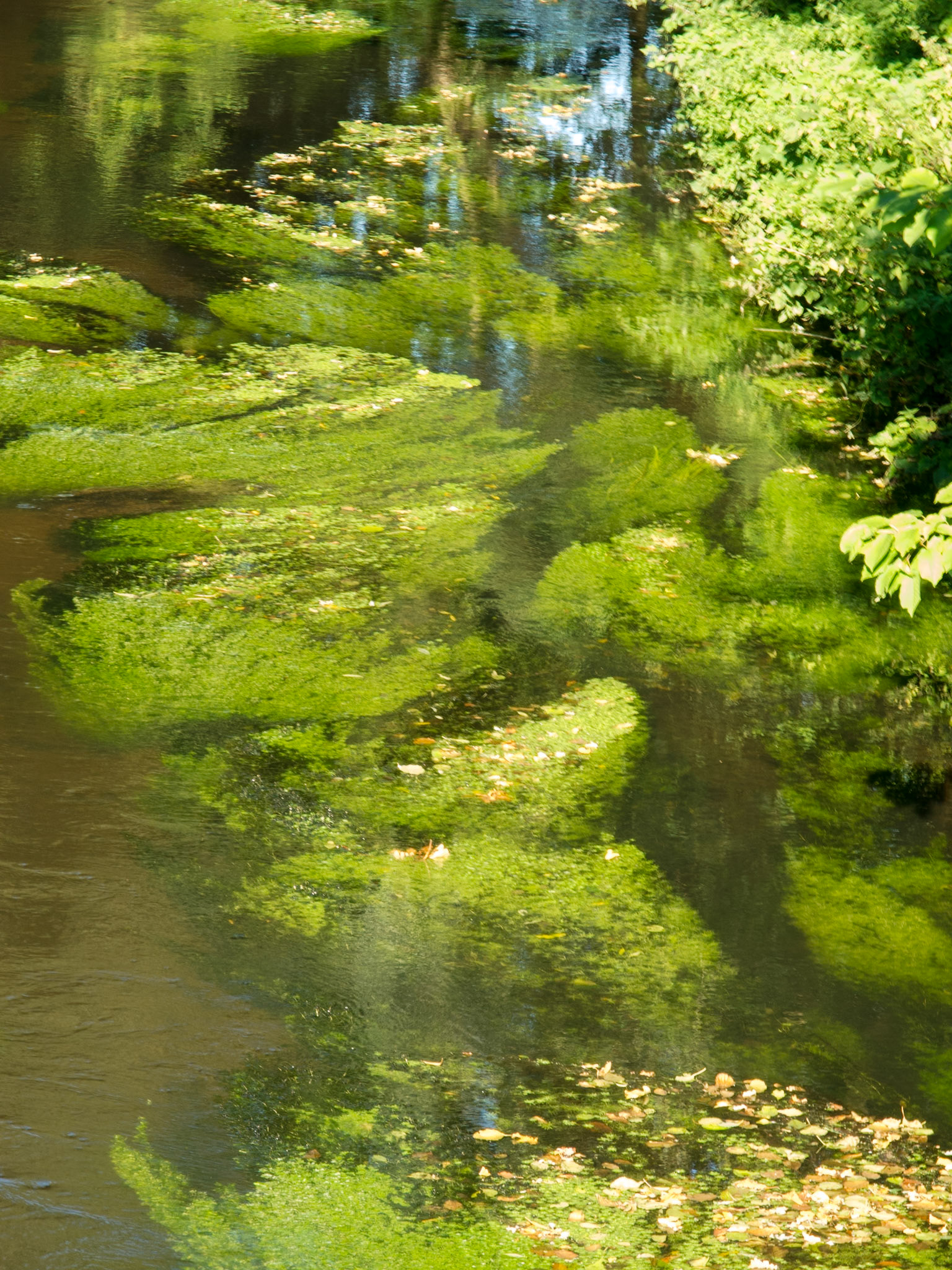 An der Luhe