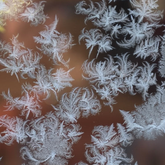 4. Eiskristalle und Blumen