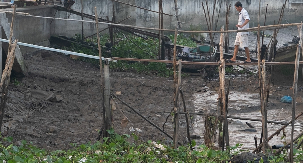 Monkey Bridge