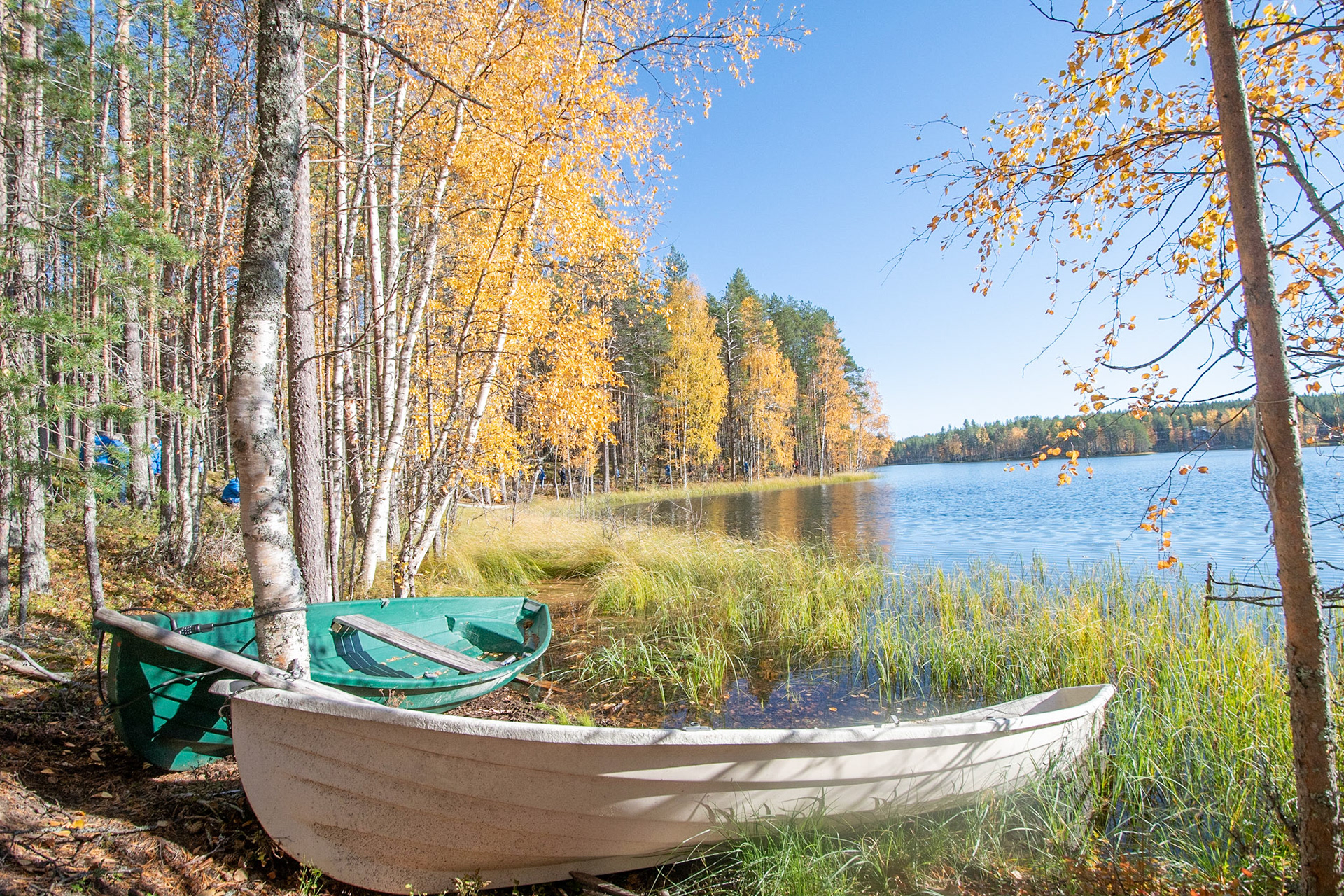 Rokua Natiionalpark bei Oulu