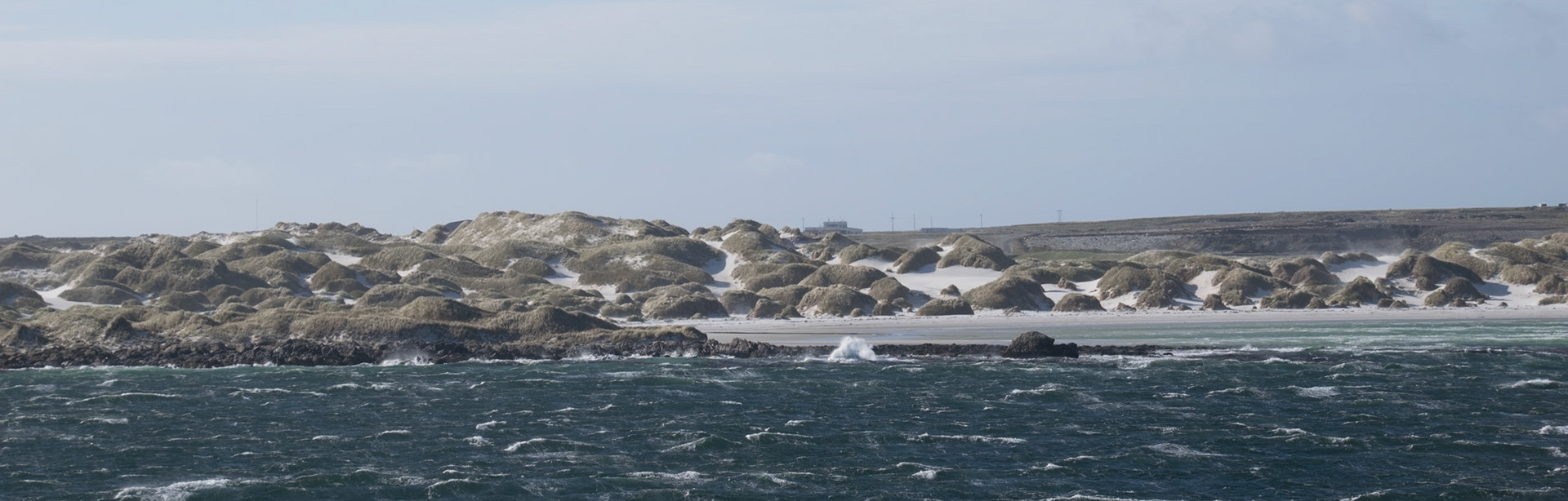 Vor den Falkland Inseln