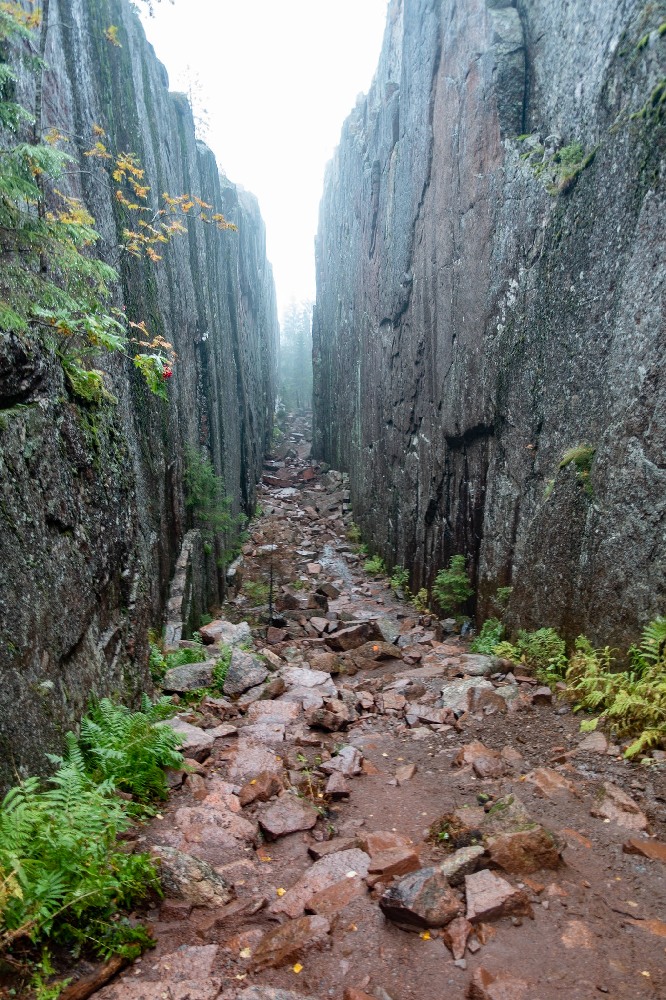 Skuleskogen bei Harnösand