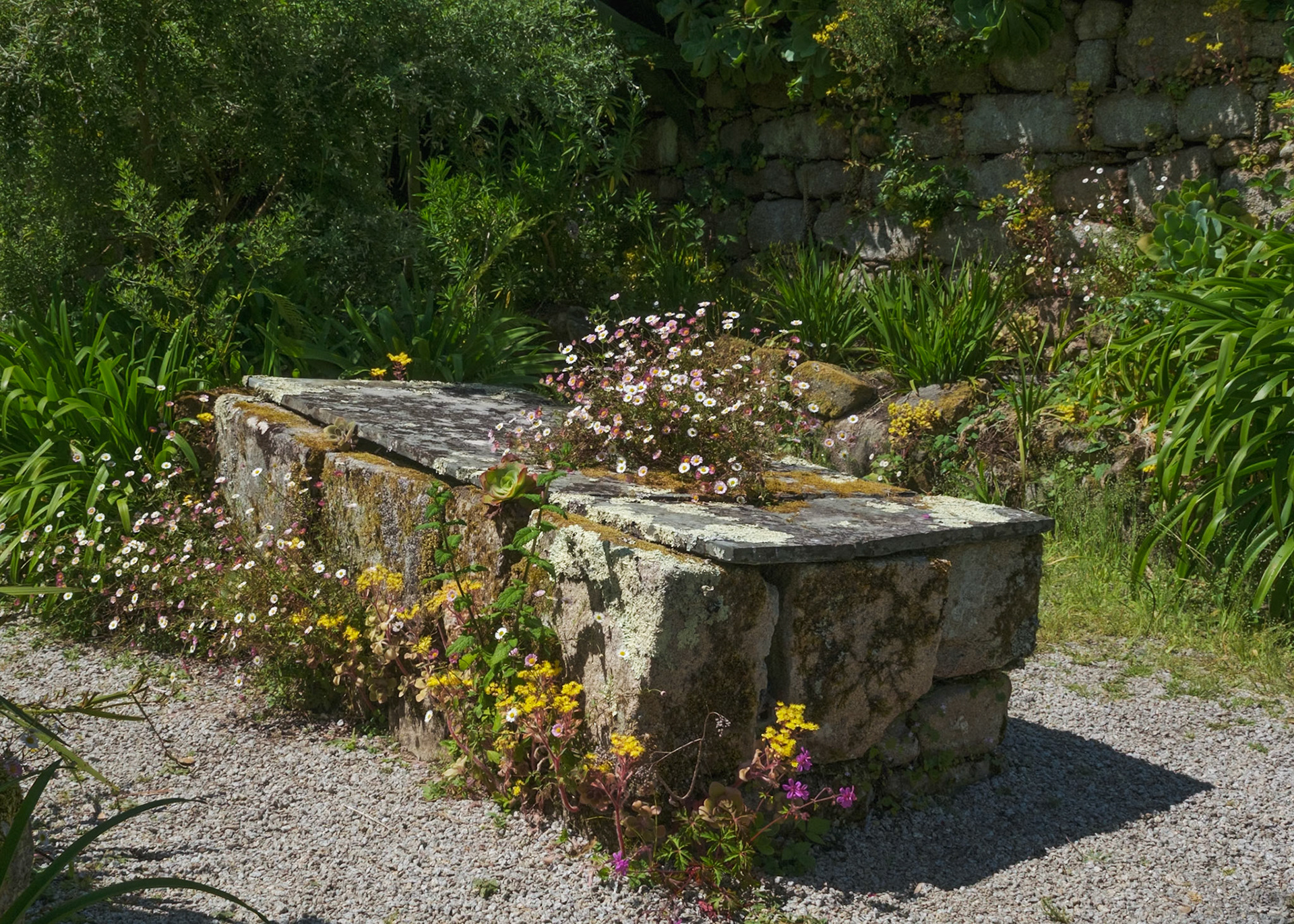 Sciilly Islands:Tresco Abbey Gardens