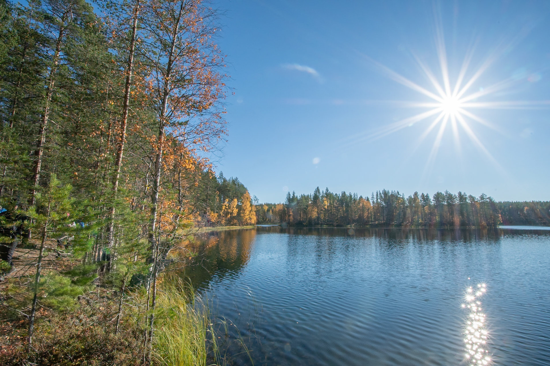 Rokua Natiionalpark bei Oulu