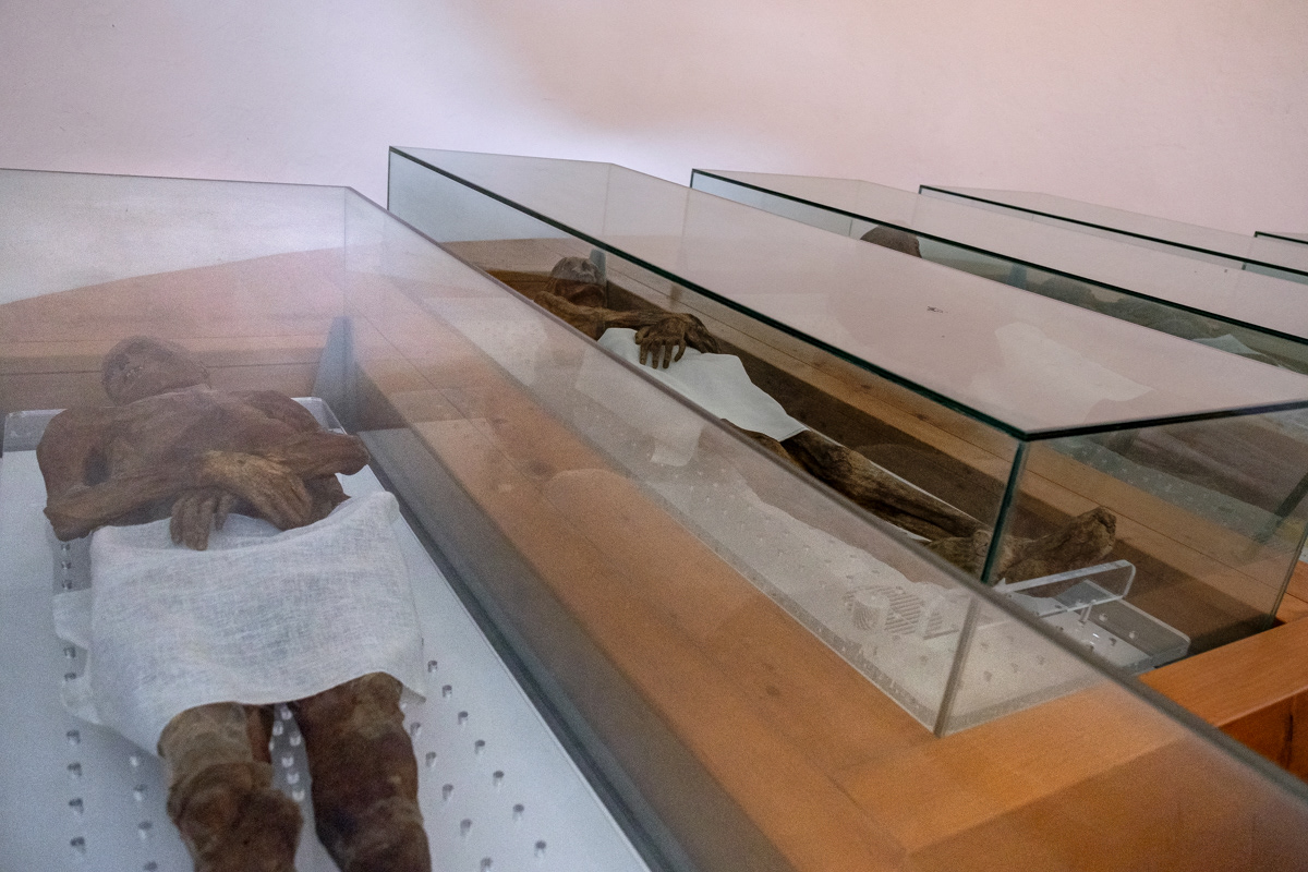 Le Mummie di Venzone, oggi visitabili presso la cappella di San Michele, prima del terremoto erano 21 custodite all’interno del Duomo; dopo il crollo della chiesa solo 15 furono rinvenute intatte. Il fenomeno della mummificazione si deve ad un fungo presente nelle tombe del Duomo che disidratava i corpi fino a rendere pergamenacee la pelle nell’arco di un’anno. Tra i visitatori d’eccezione, Napoleone.