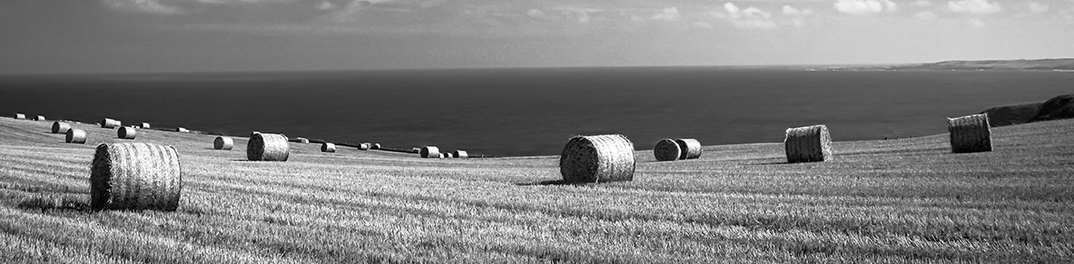 Moray Coast