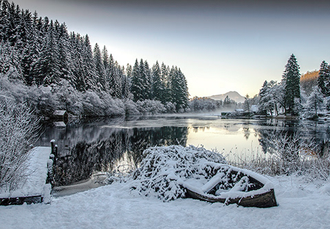 Tranquility Loch Ard