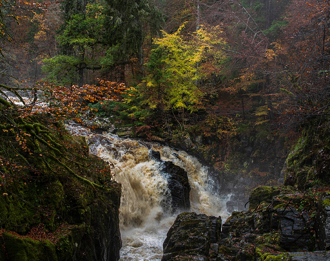 The Hermitage
