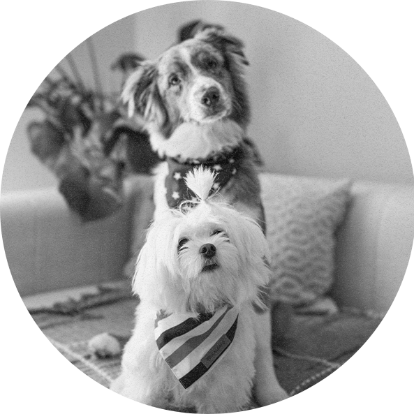 KODA E NENEM