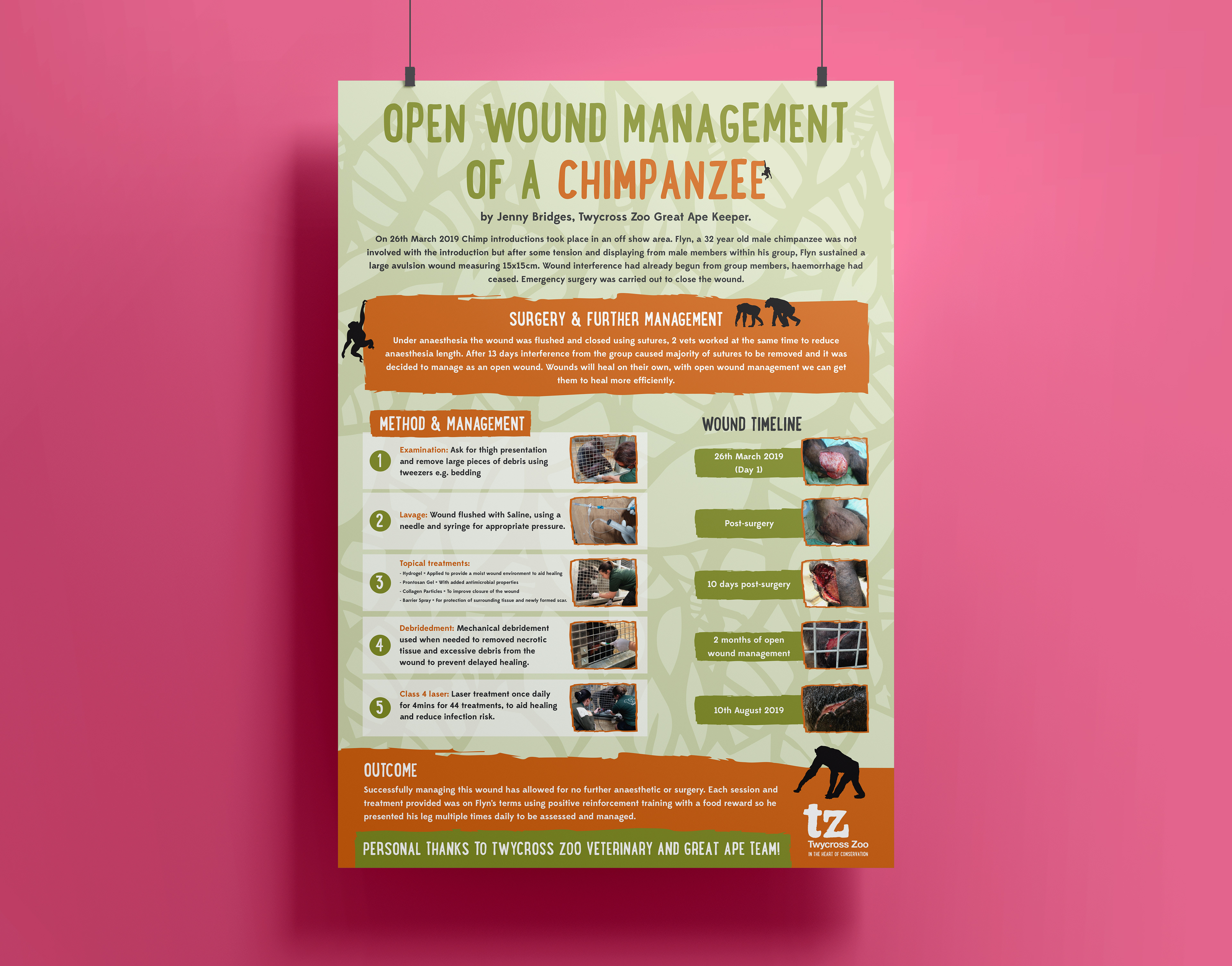 2019 Great Ape Workshop poster