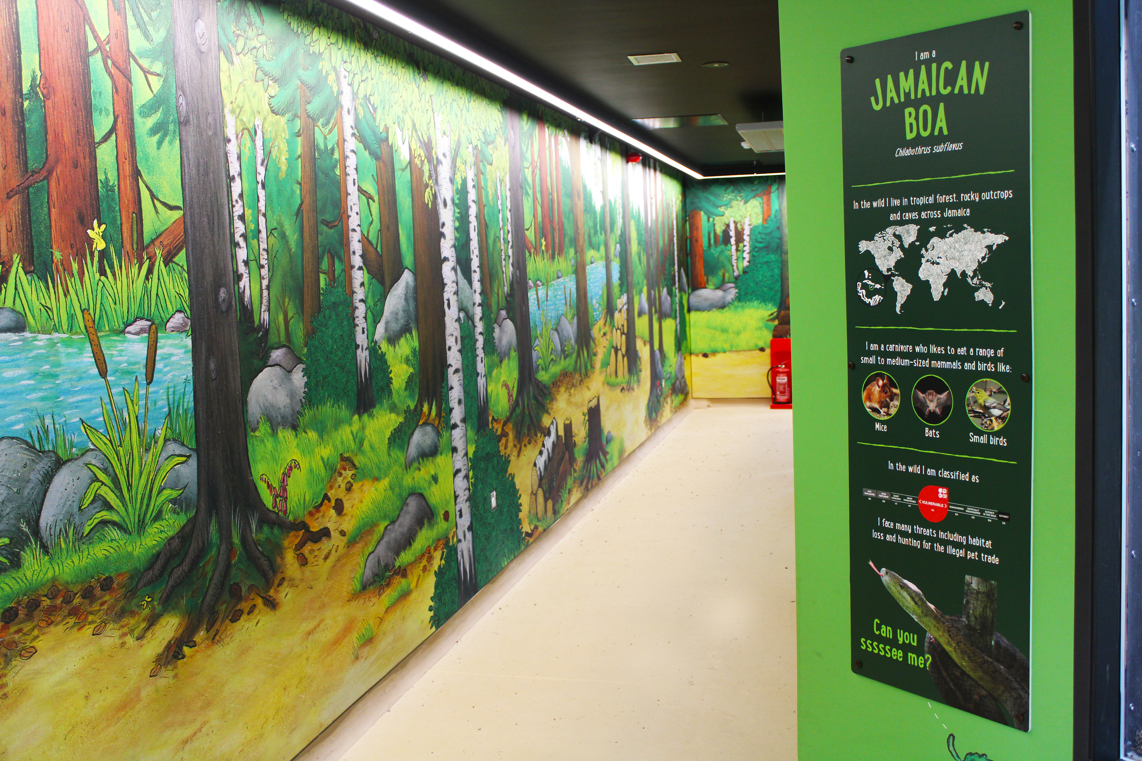 Inside Area Theming - Use of the assets in the book for a full stretch background produced onto a hard wearing polyester material with additional dibond animal signage