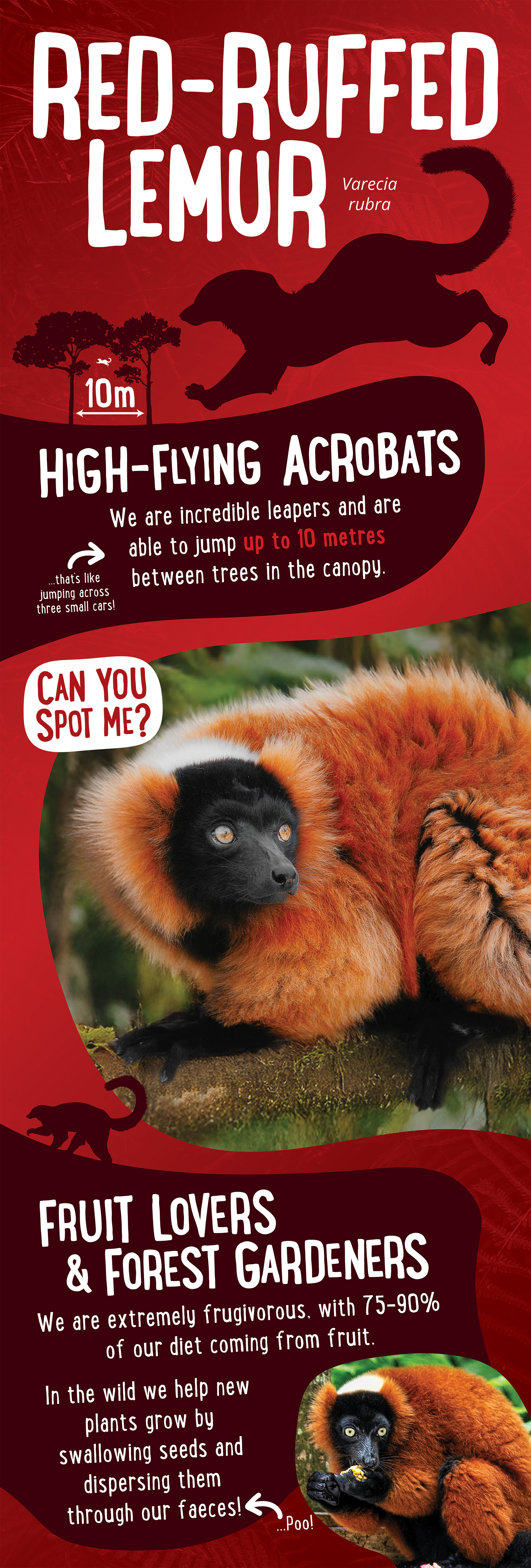 Red-ruffed lemur signage