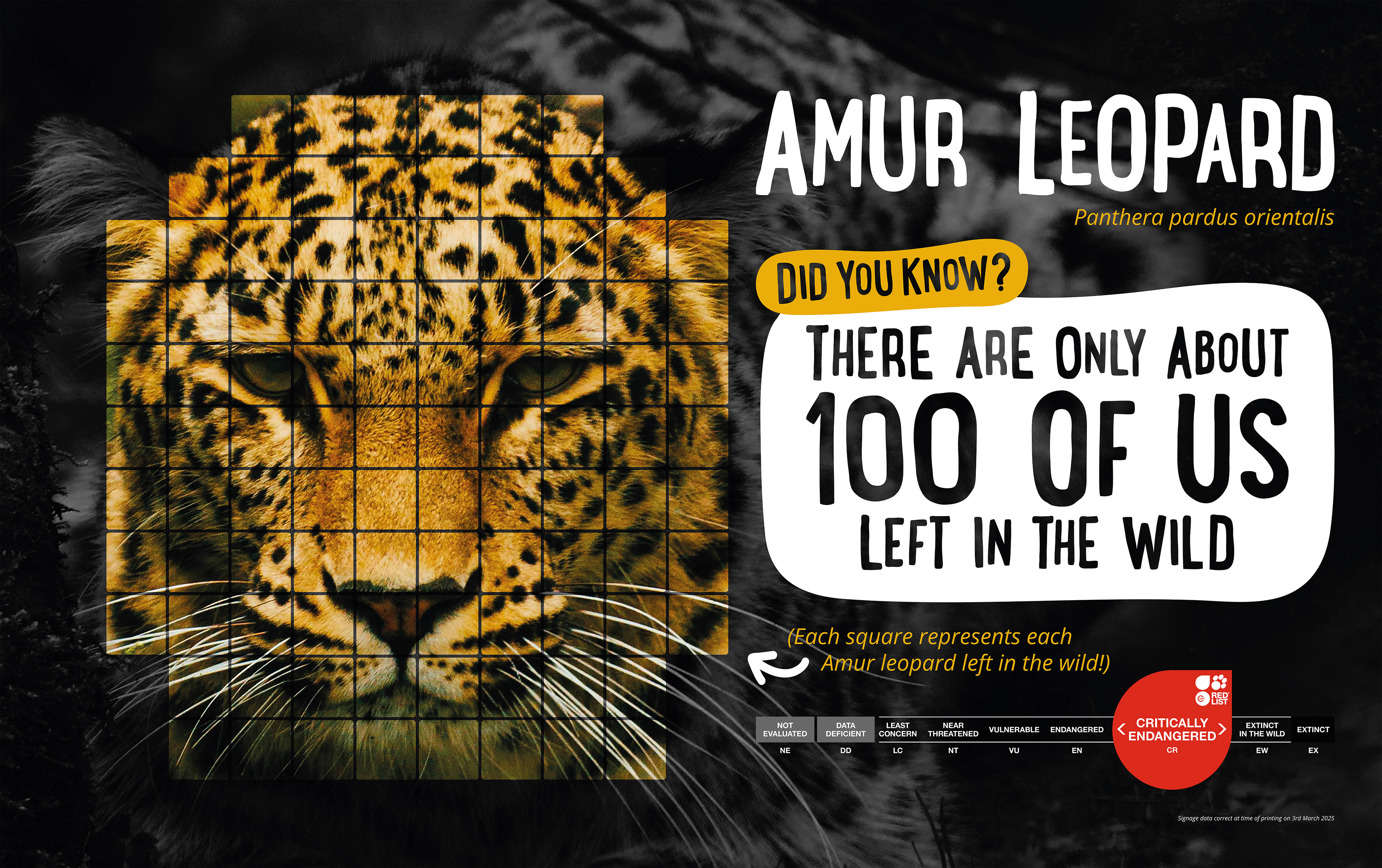 Amur leopard signage