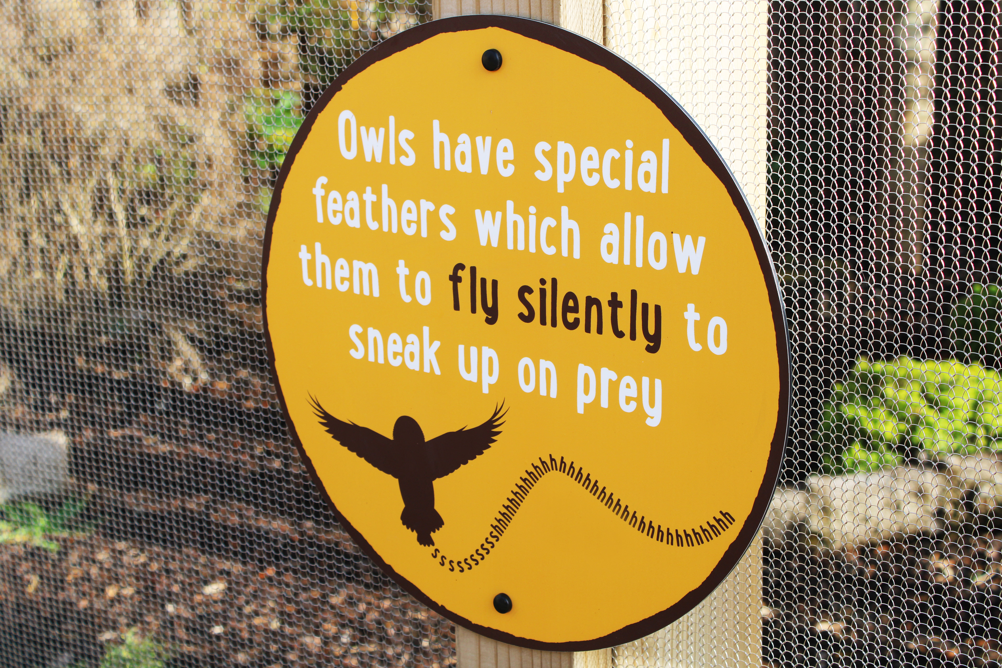 Owl Enclosure - Simple factual signage backed on dibond digital print