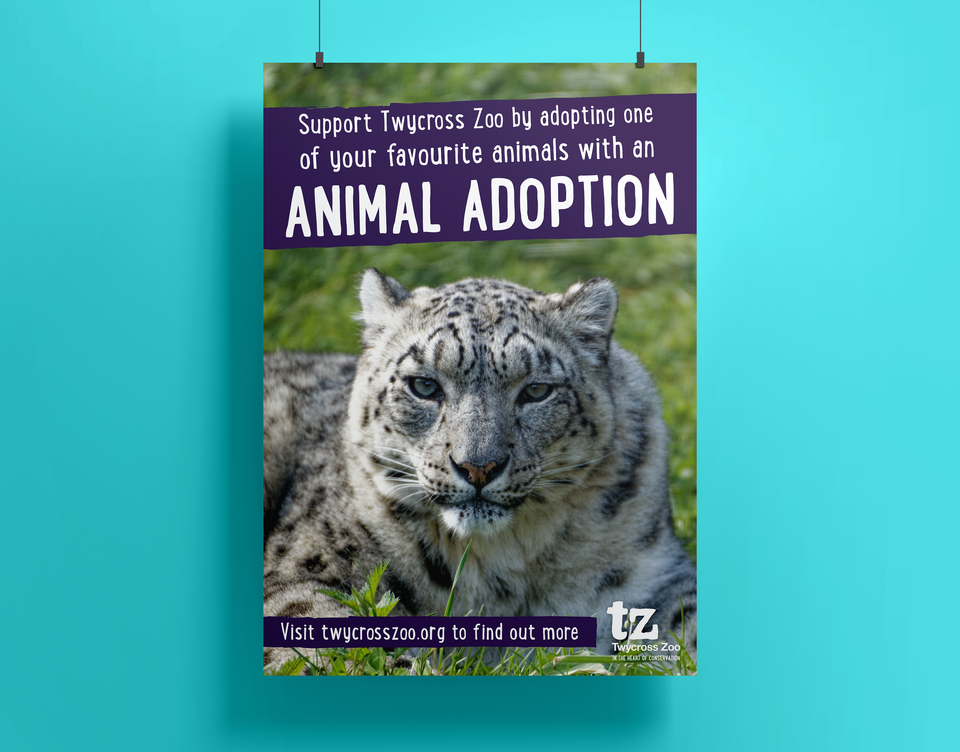 2021 Generic animal adoption awareness promotion
