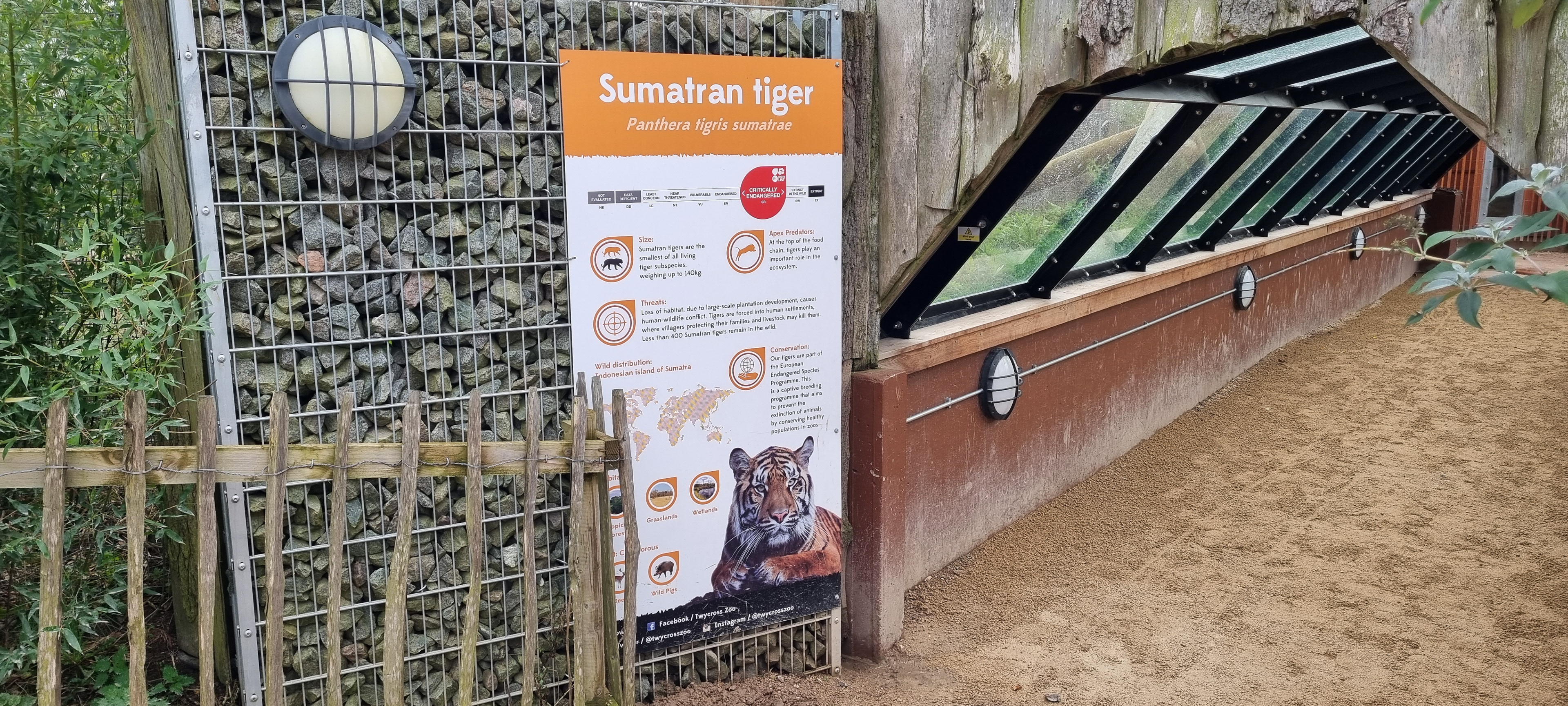 Tiger Animal Signage