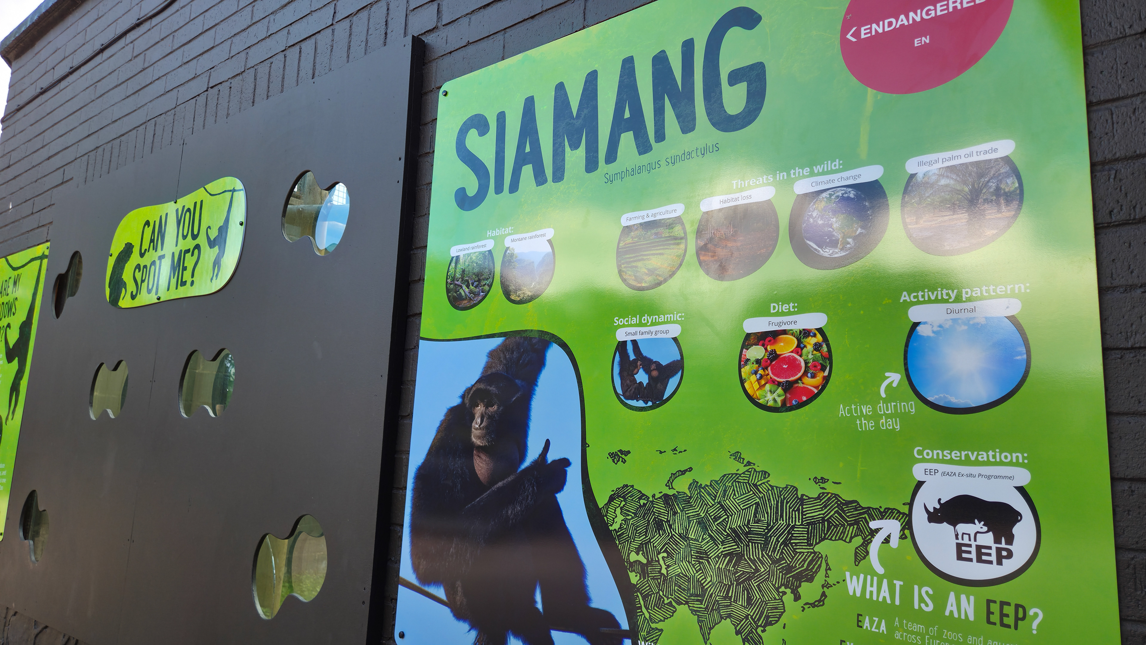 Siamang habitat signage