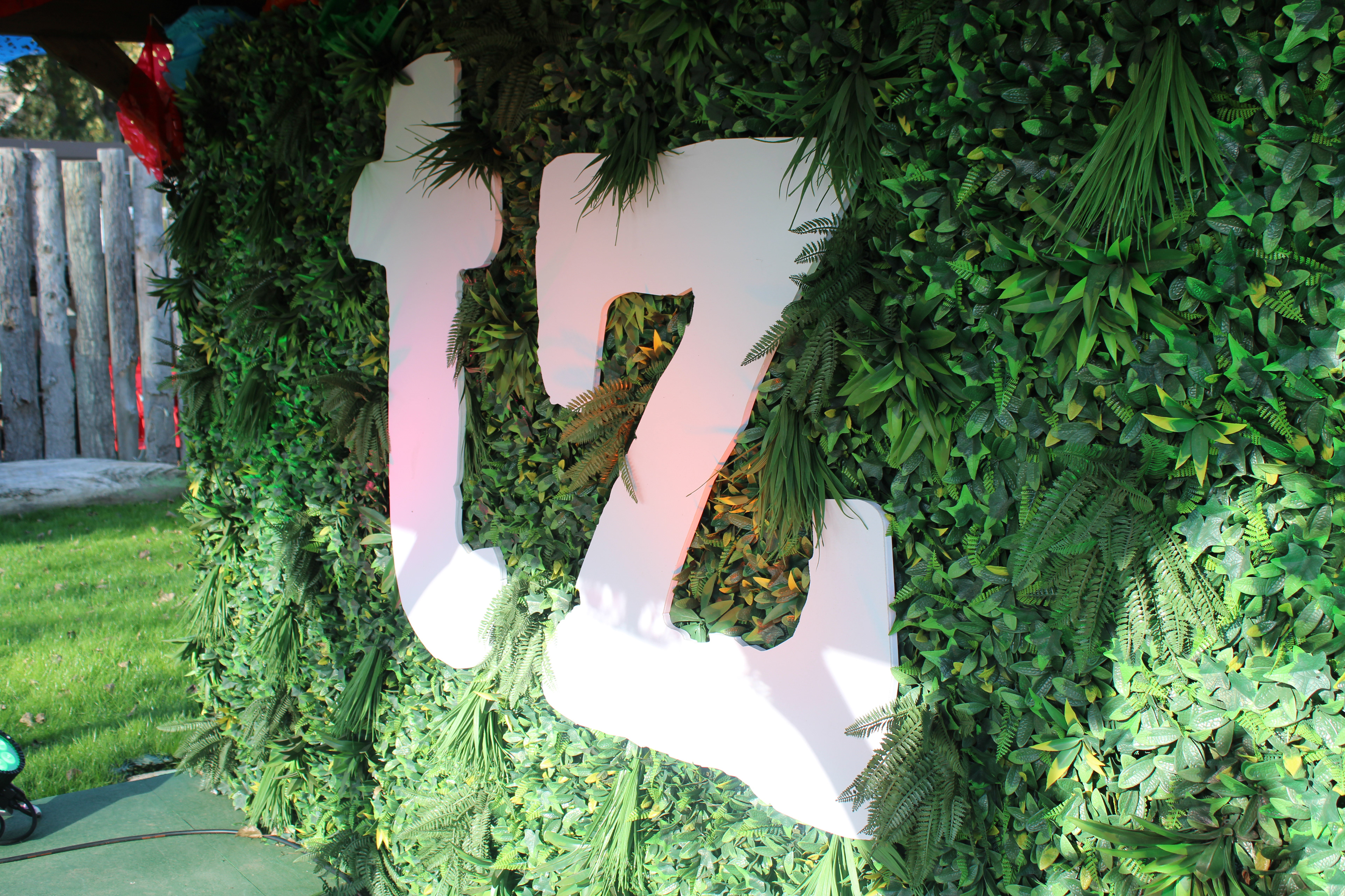 New TZ Performance Area Theming