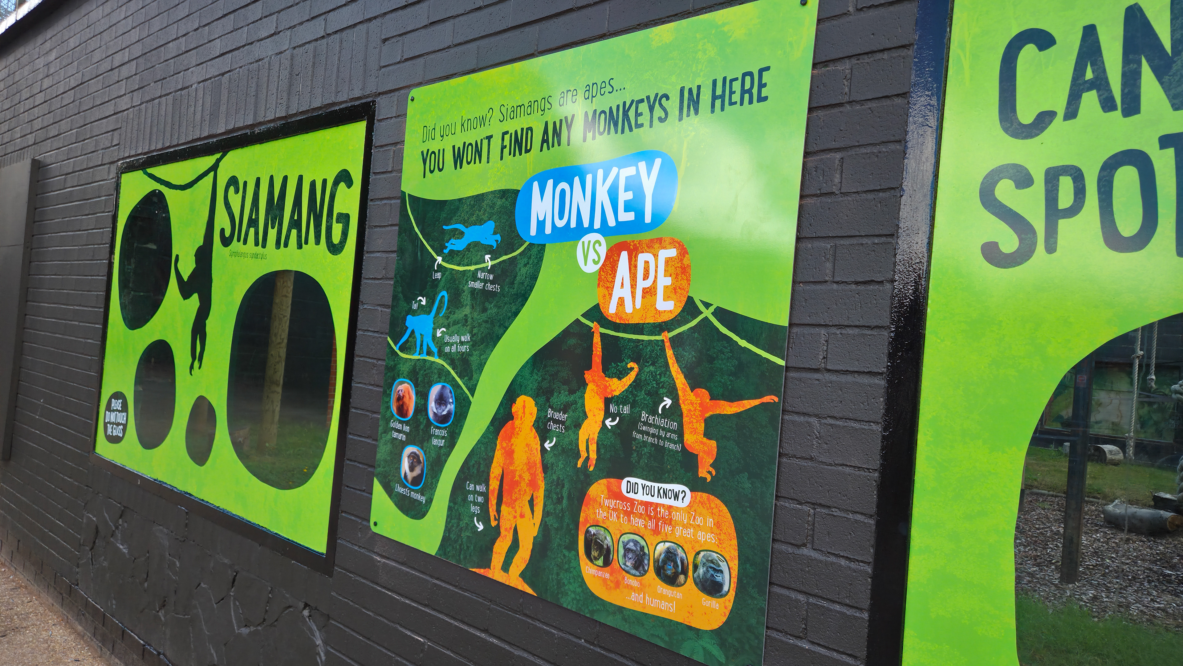 Siamang habitat signage and window vinyls