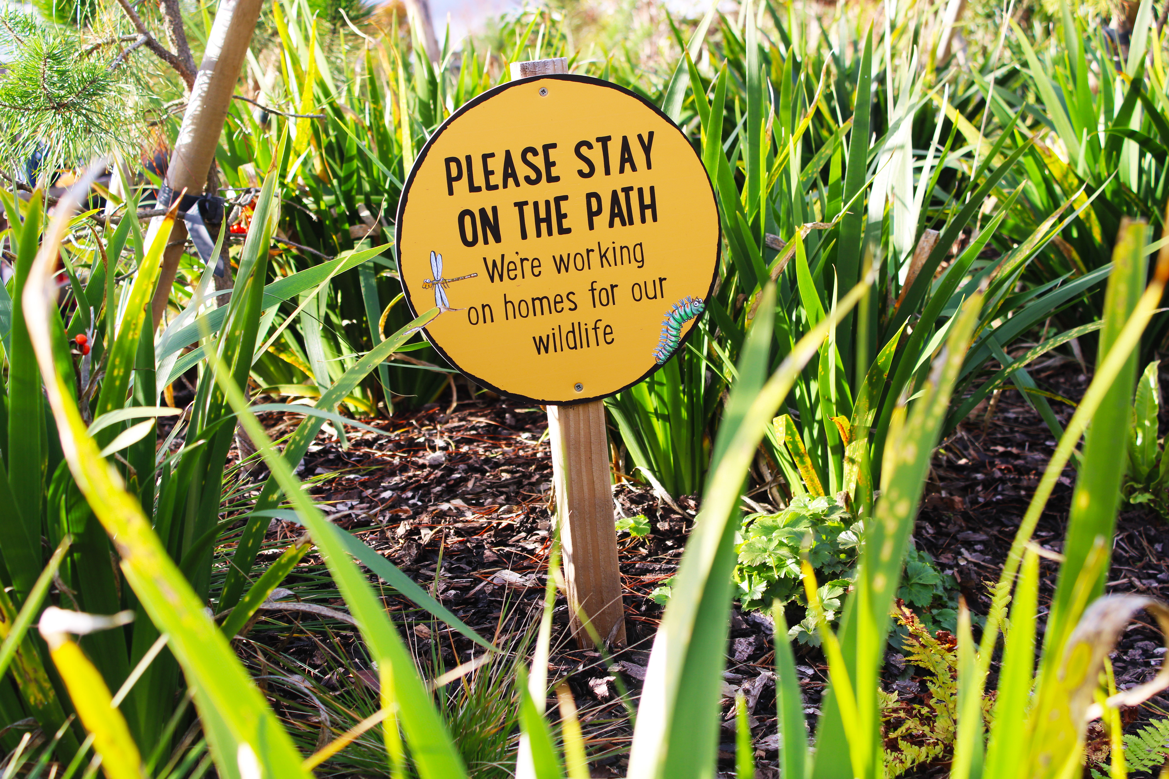 Keep off the plants - Whilst the planting was being grown, different soft messaging was used to stop people walking over the plants