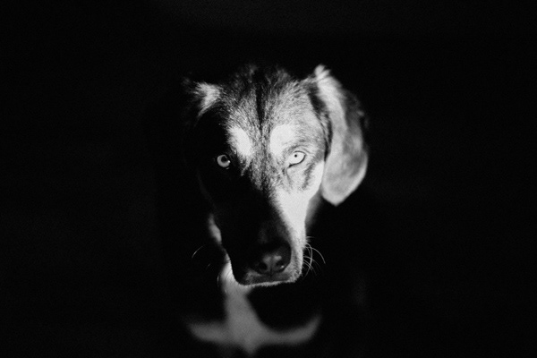 Hard Light & Contrast