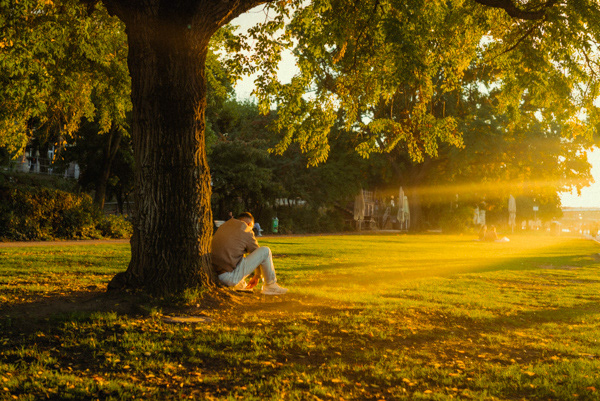 Warm Light