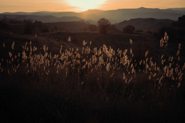 Backlight or Rim Light
