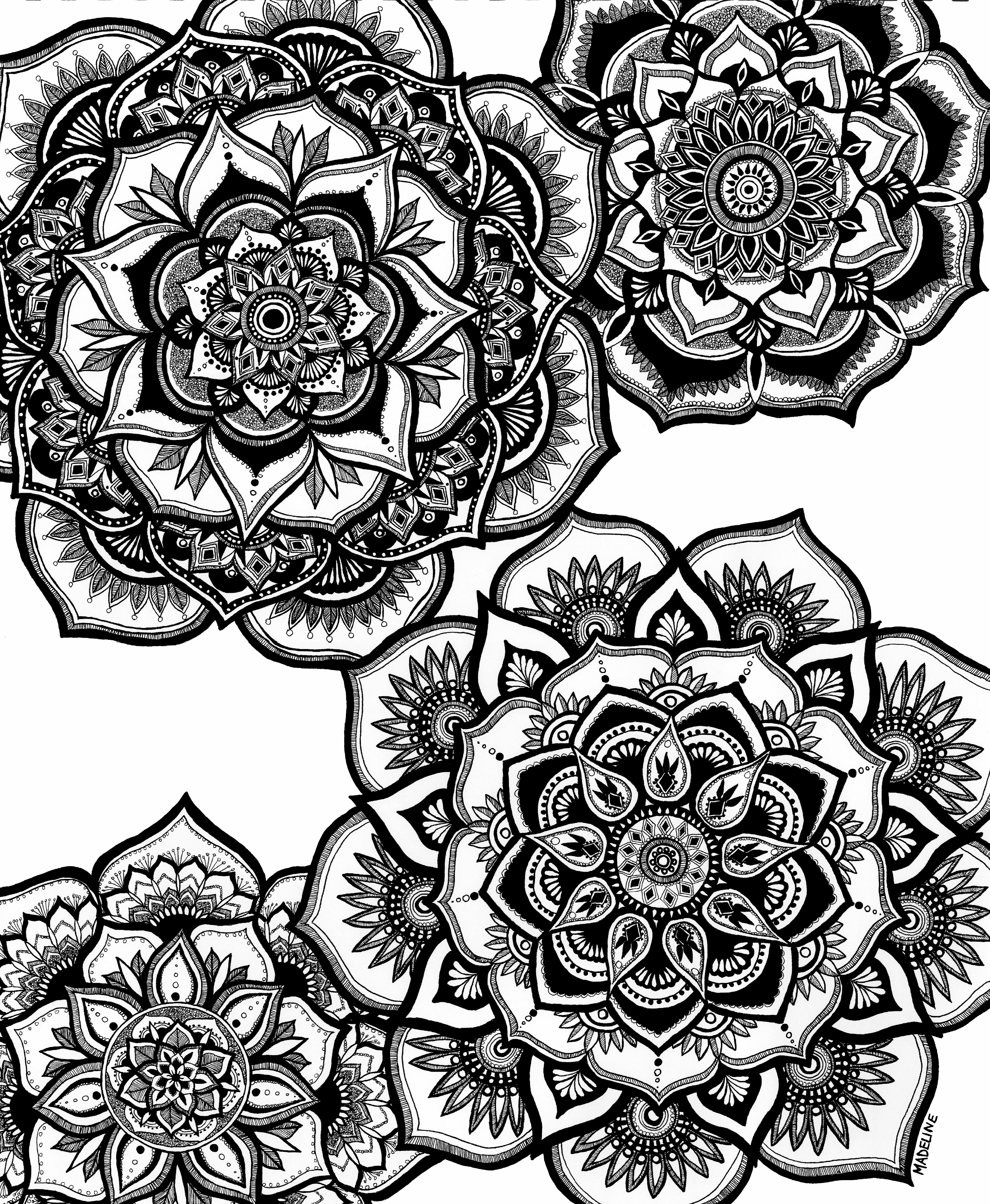 Floral Fascination, 2022