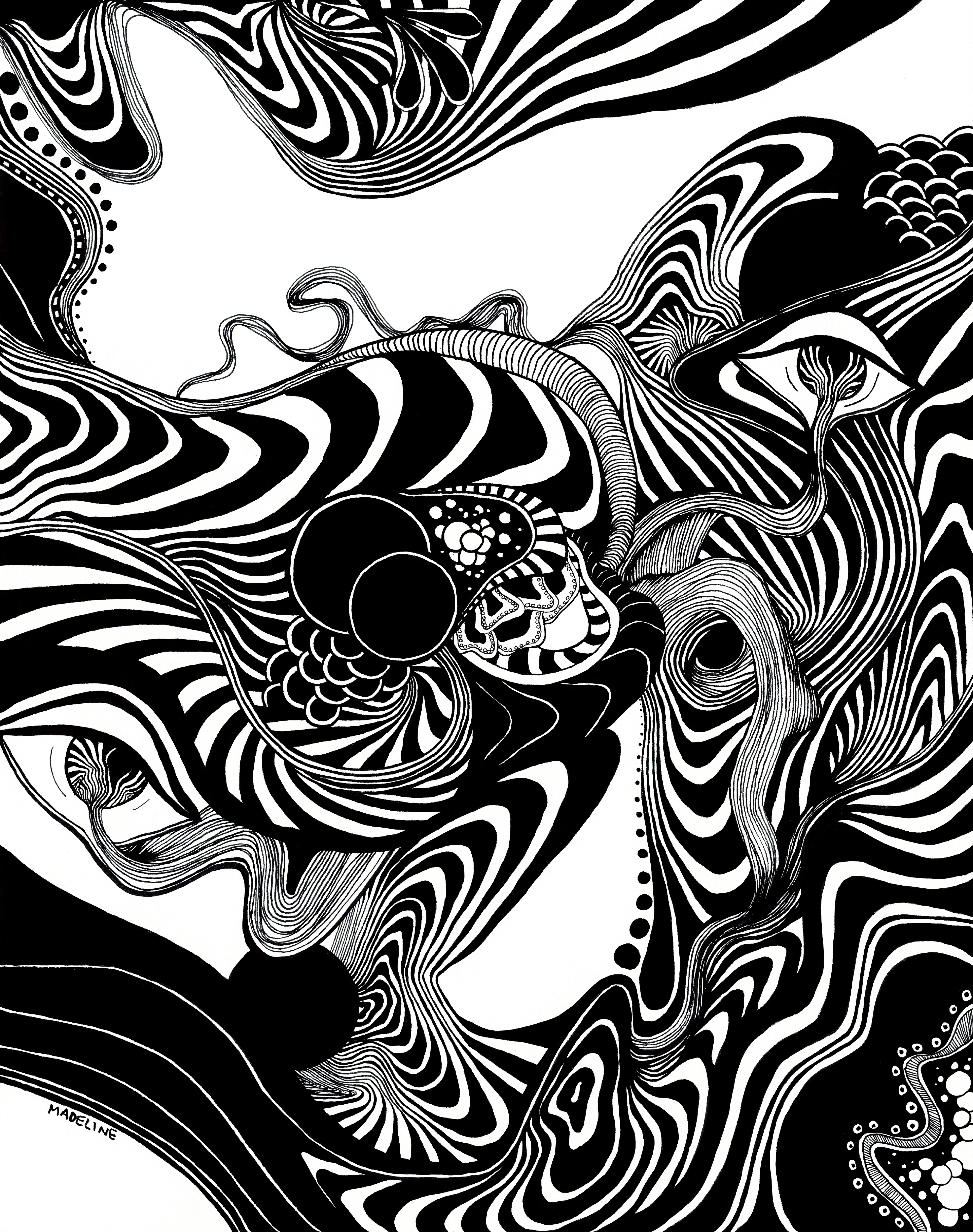 Fluidity, 2024