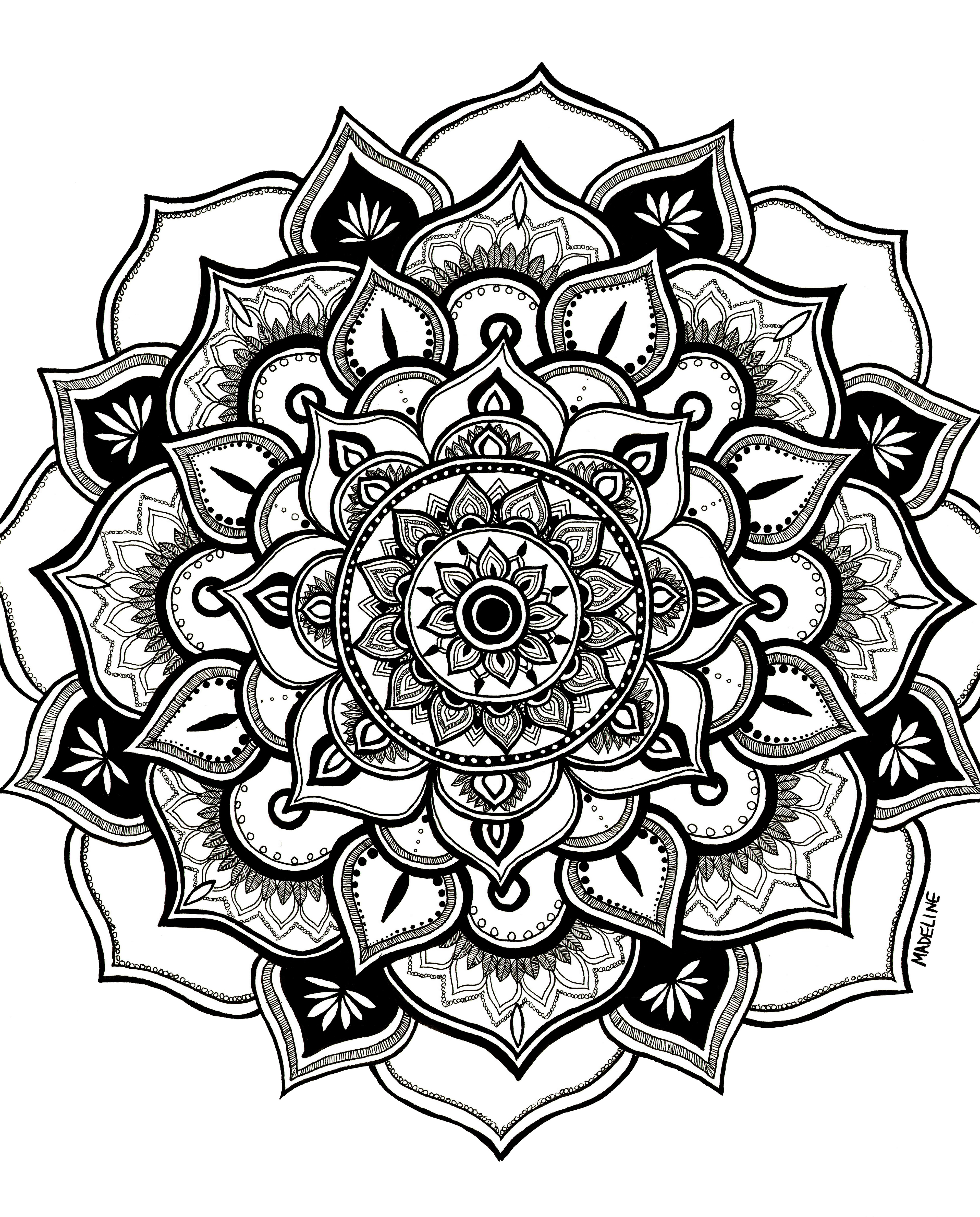 Peaceful Petals, 2022