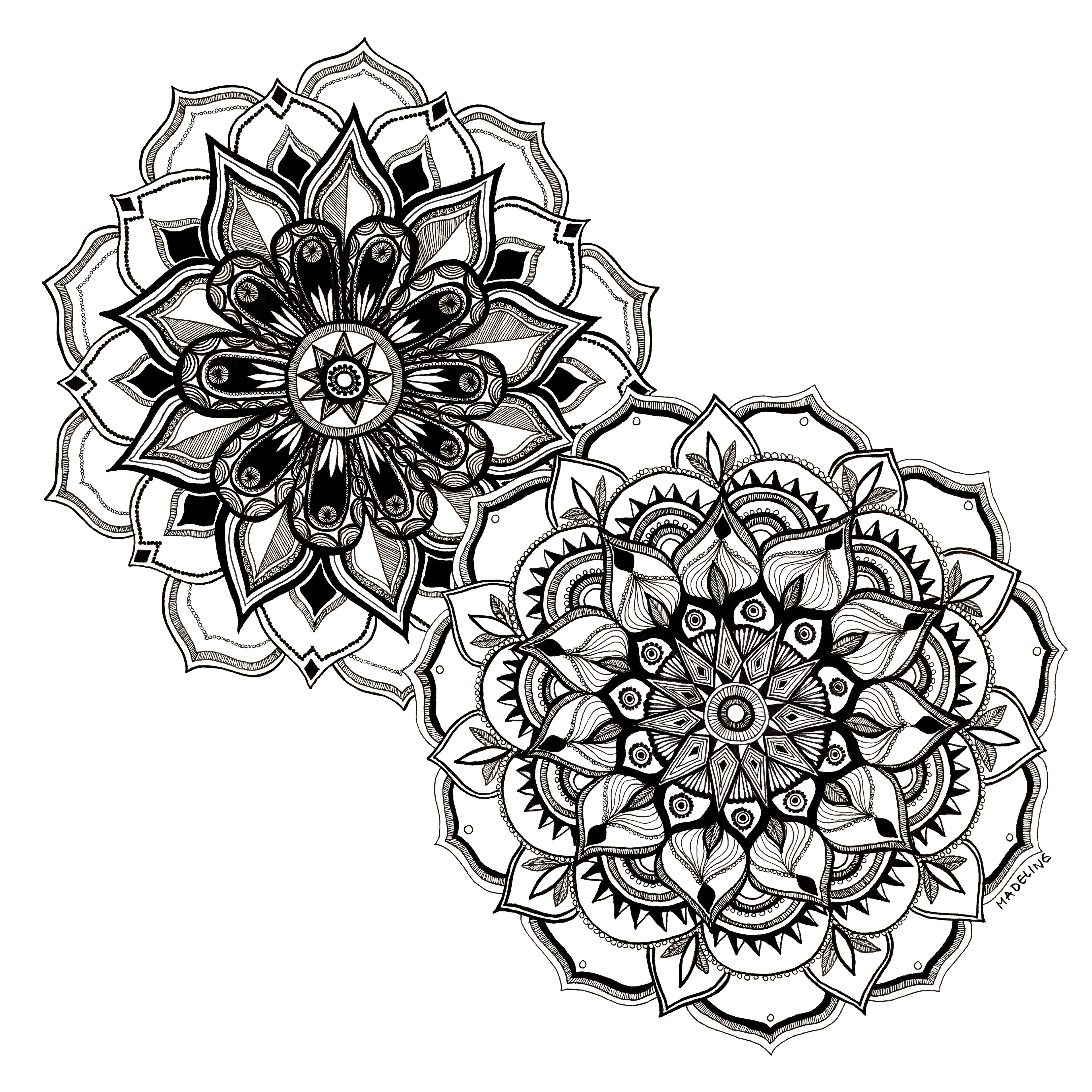 Mandala Blossoms, 2023