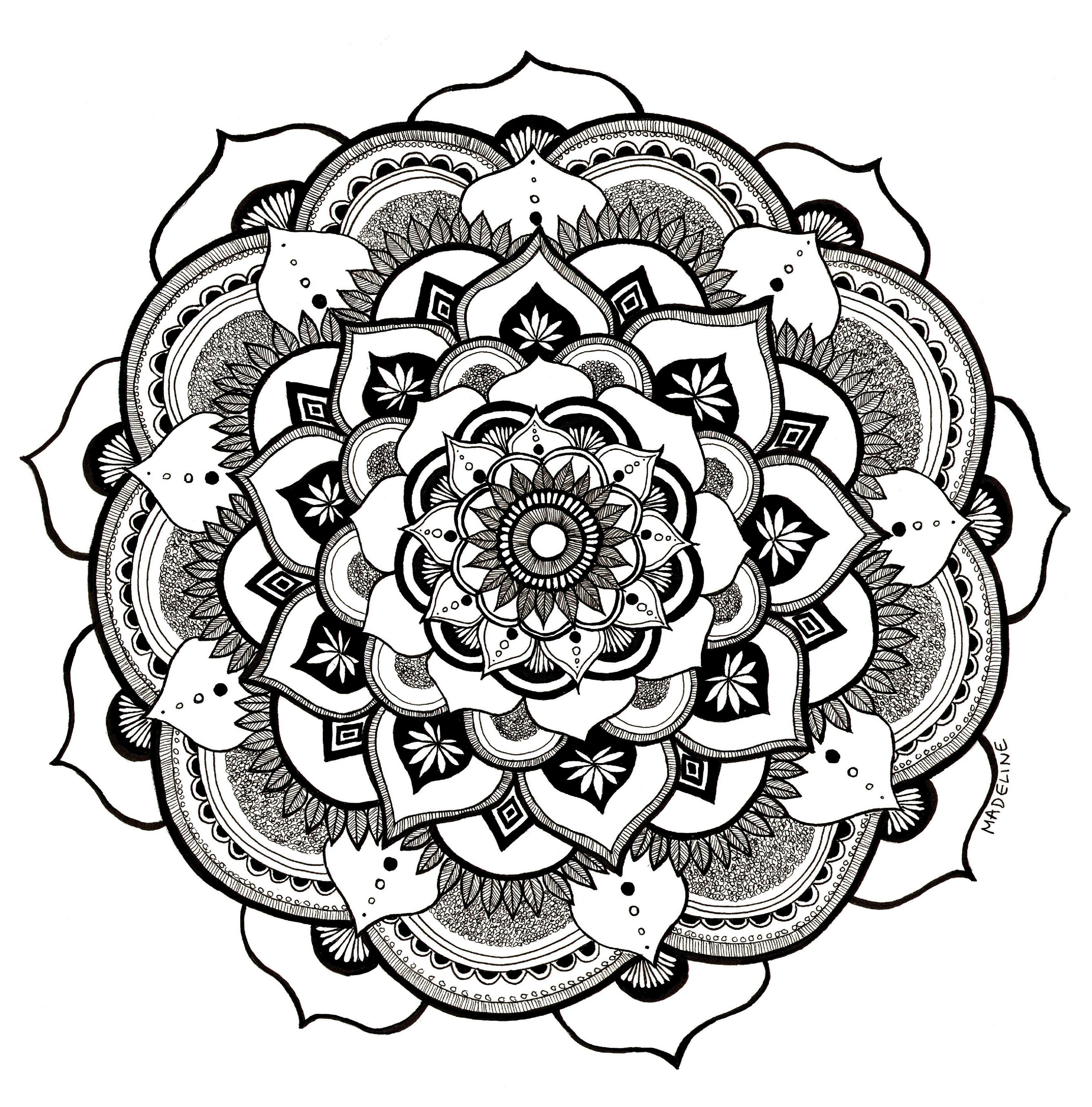 Kaleidoscope, 2024