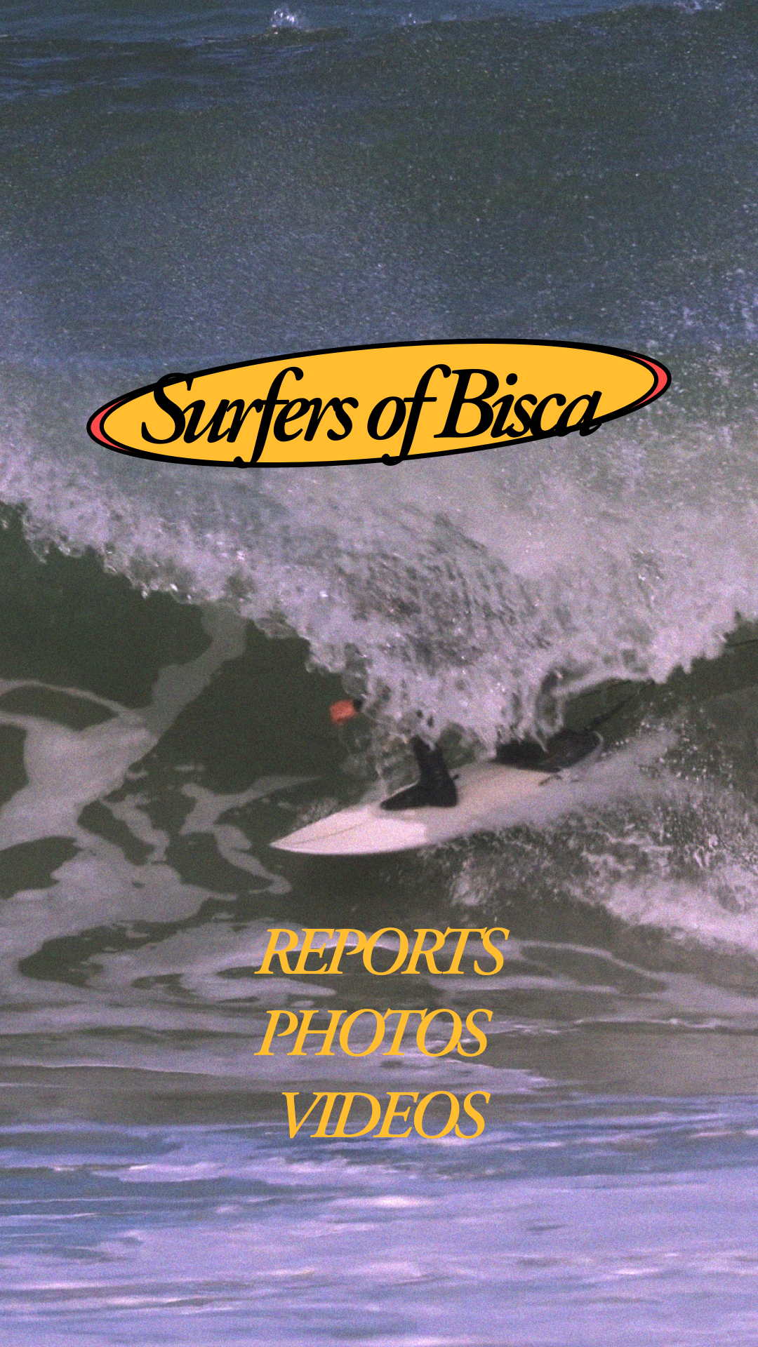SURFER OF BISCA project
