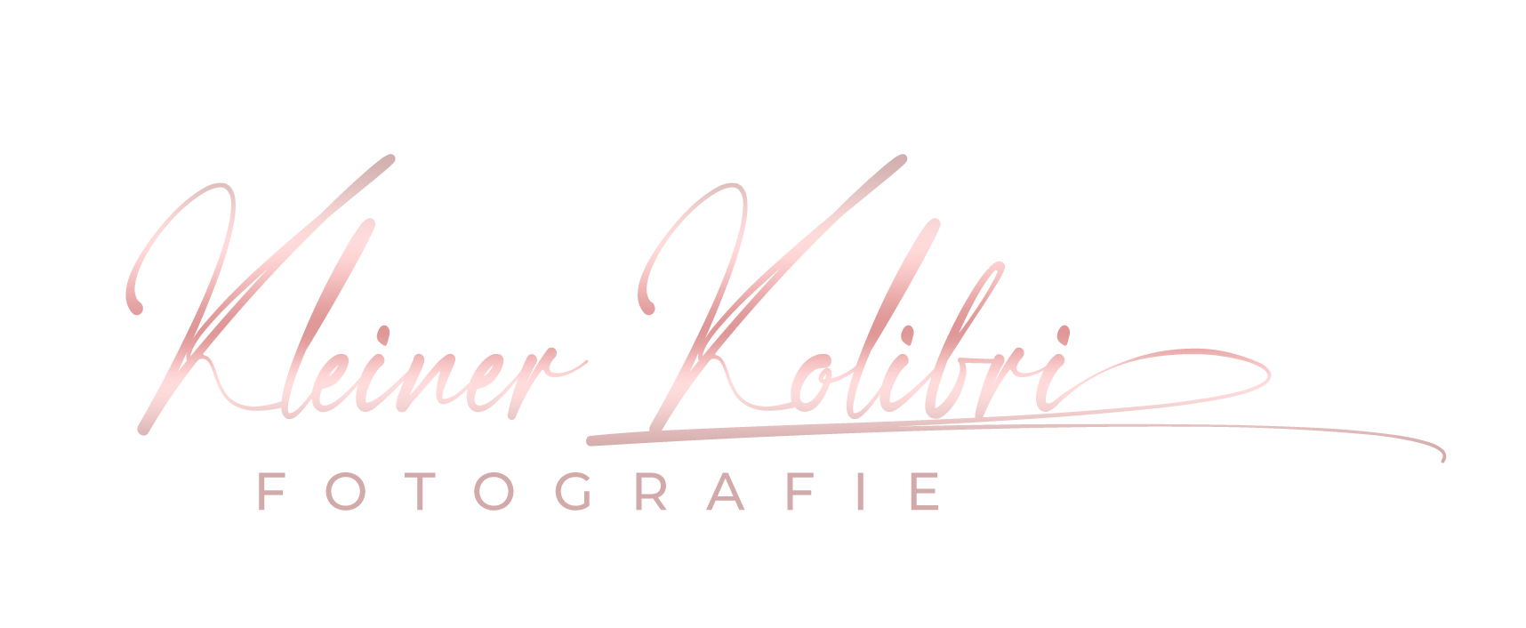 Kleiner Kolibri Fotografie