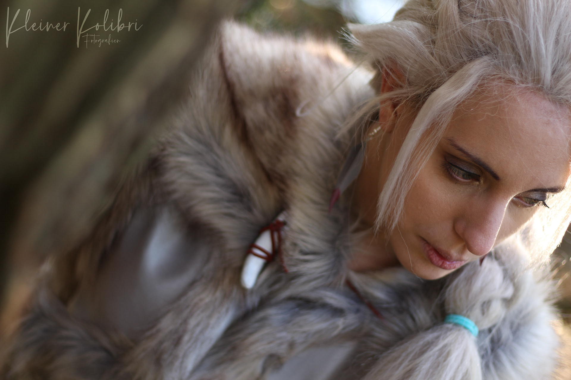 Nordlicht_Cos