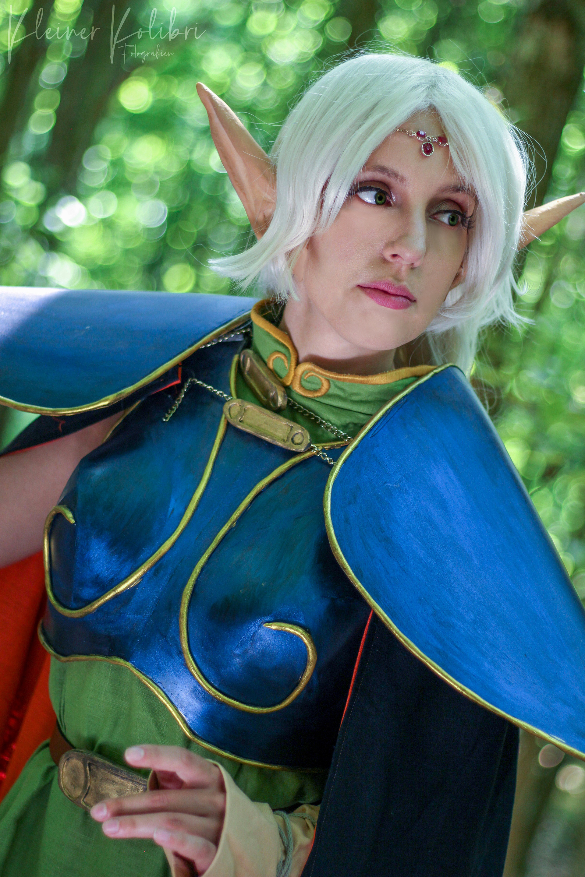 Nordlicht_Cos