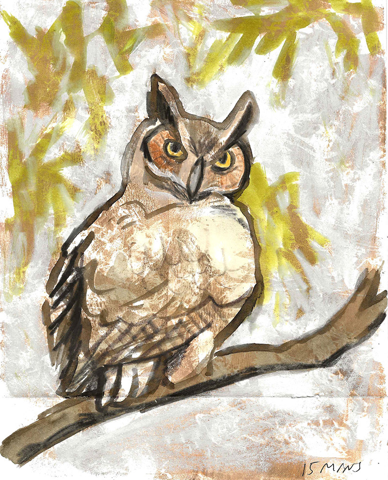 Owl mixed media work featured in the Only Owls zine (Third-Hand History).