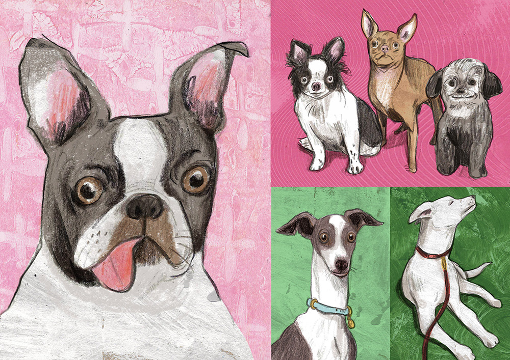 Collage of dog illustrations. 