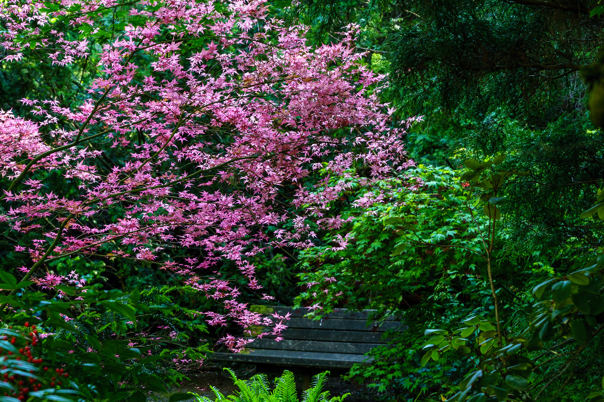 Kuboto Garden
