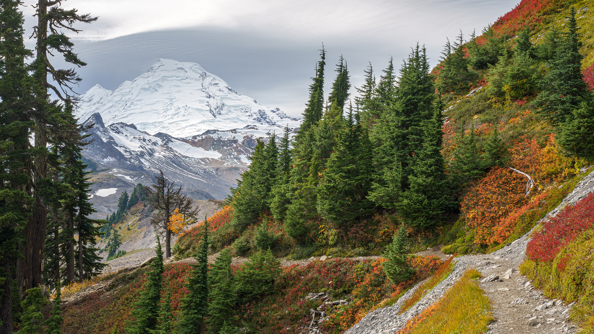 Mt Baker, in the Distance