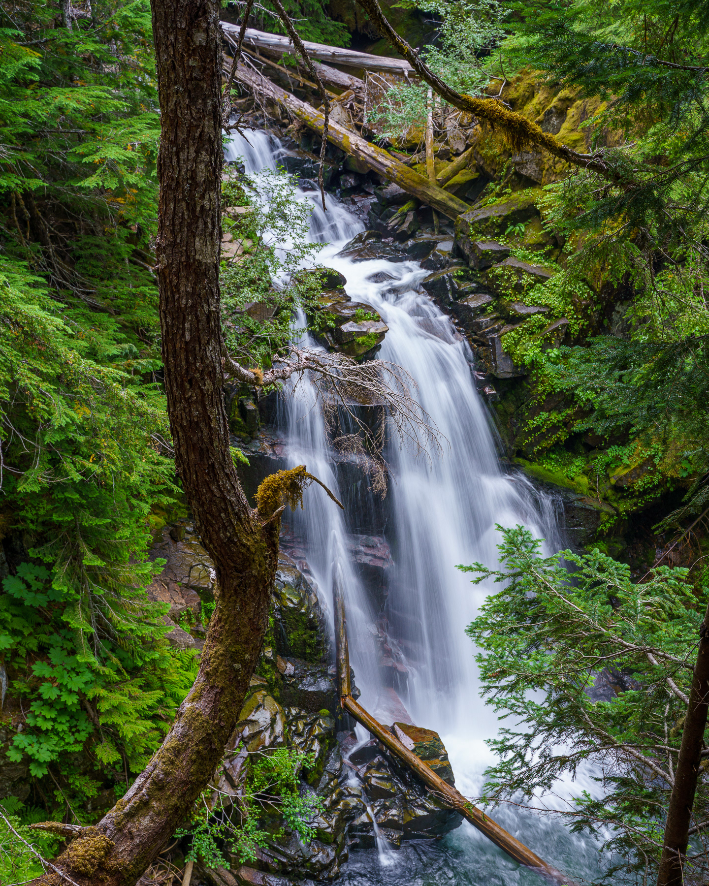 Carter Falls