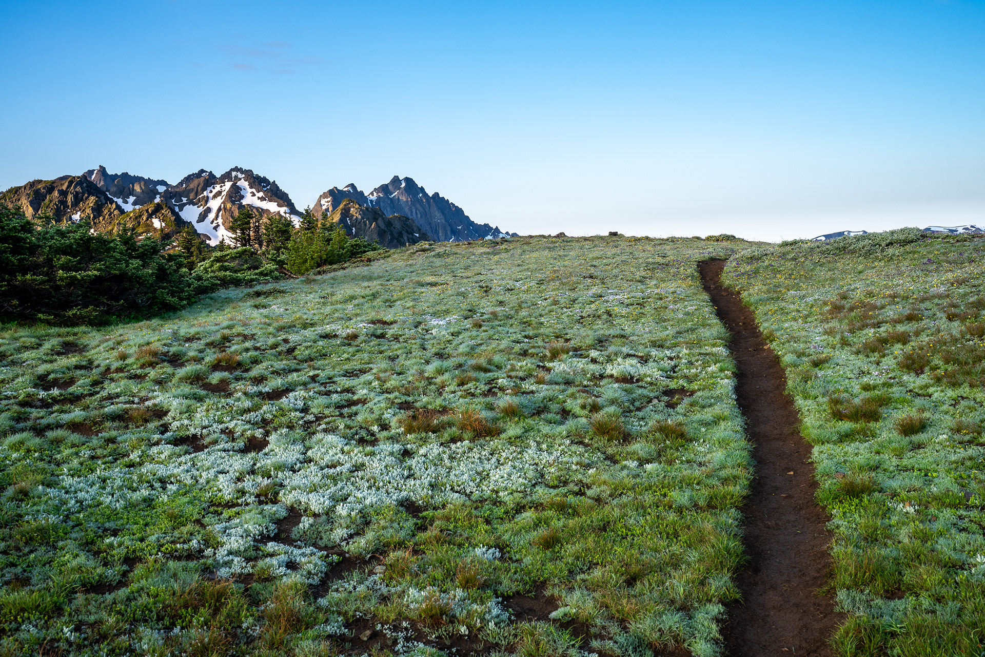 Marmot Pass