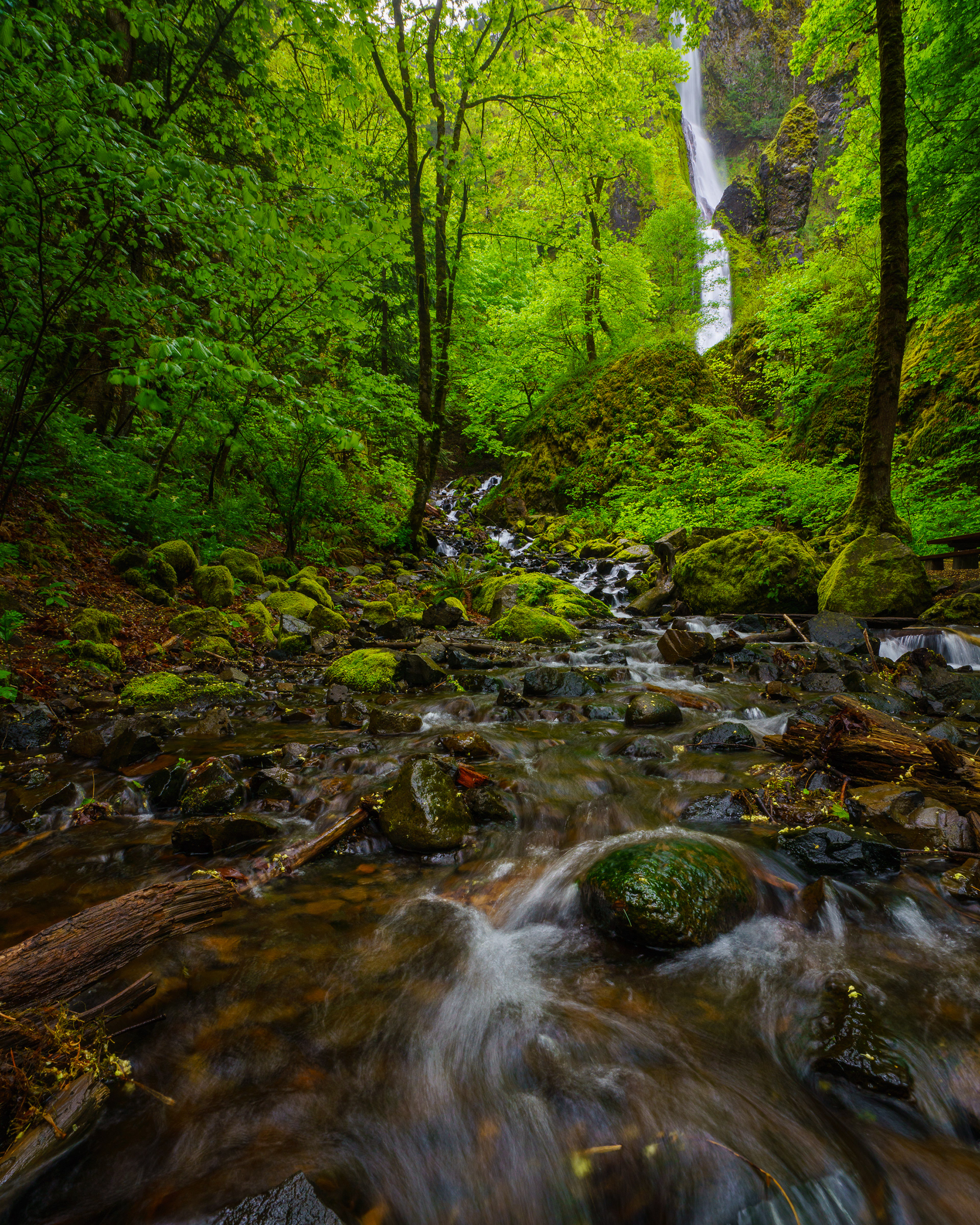 Starvation Creek Falls