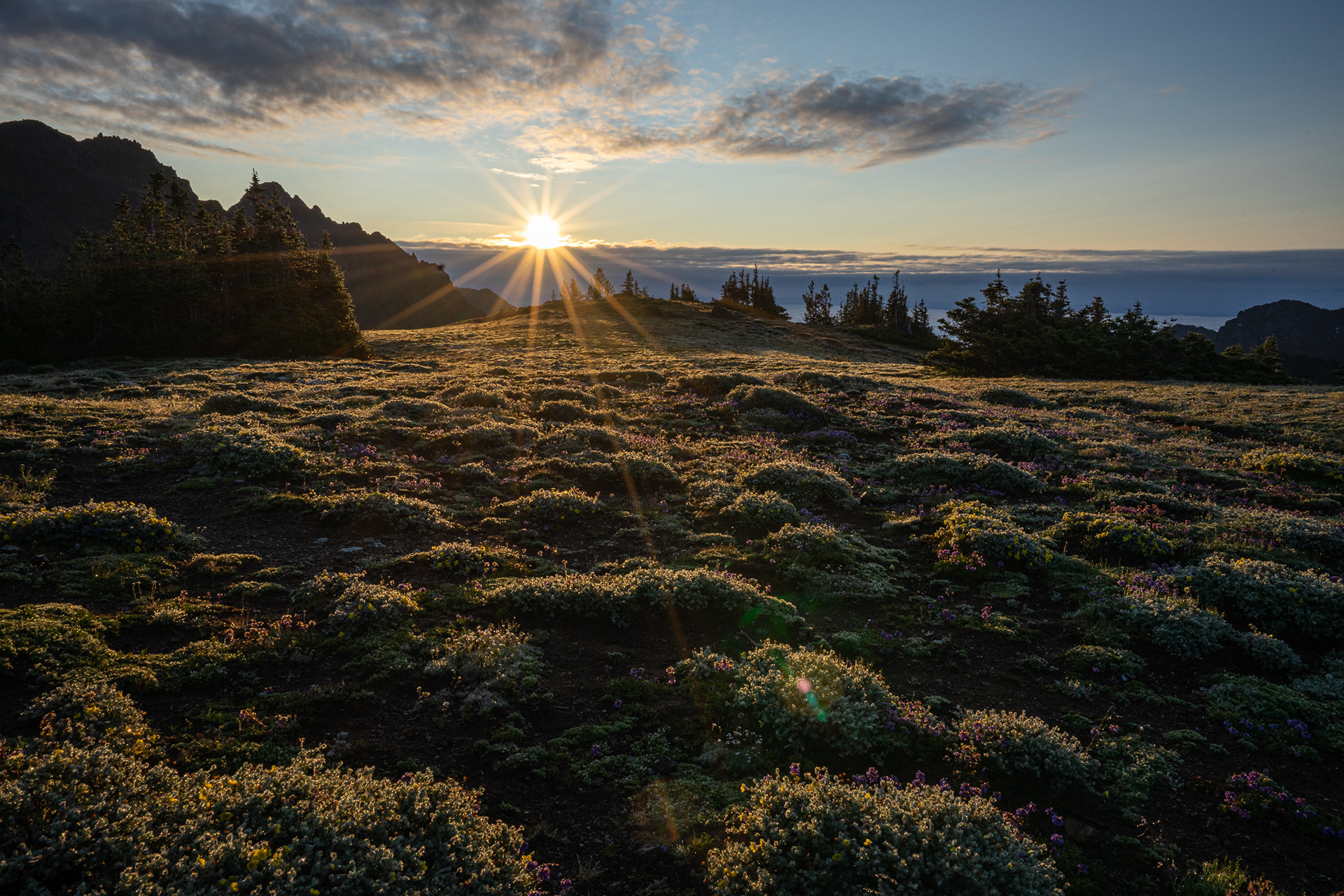 Marmot Pass