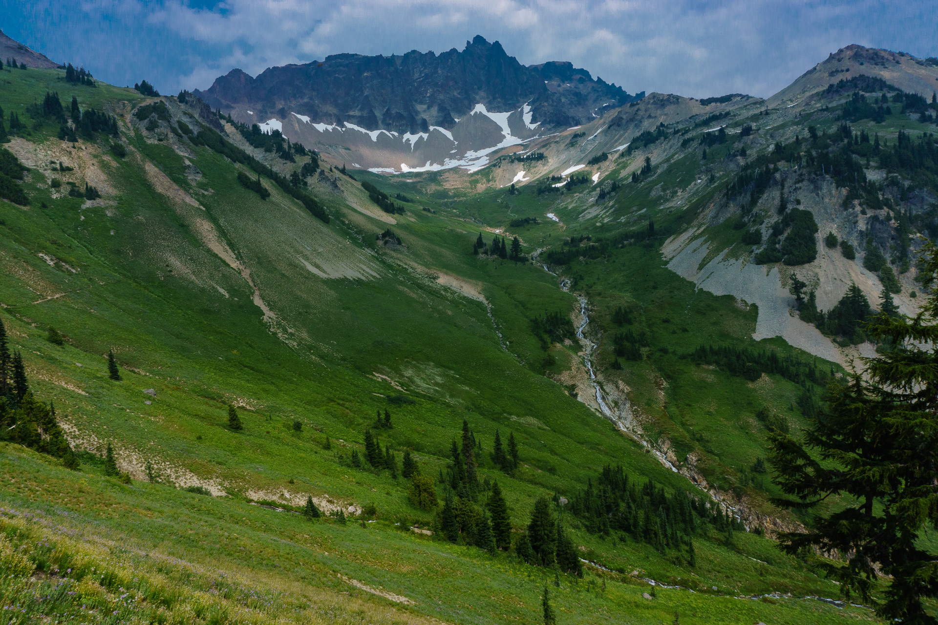 Cispus Basin