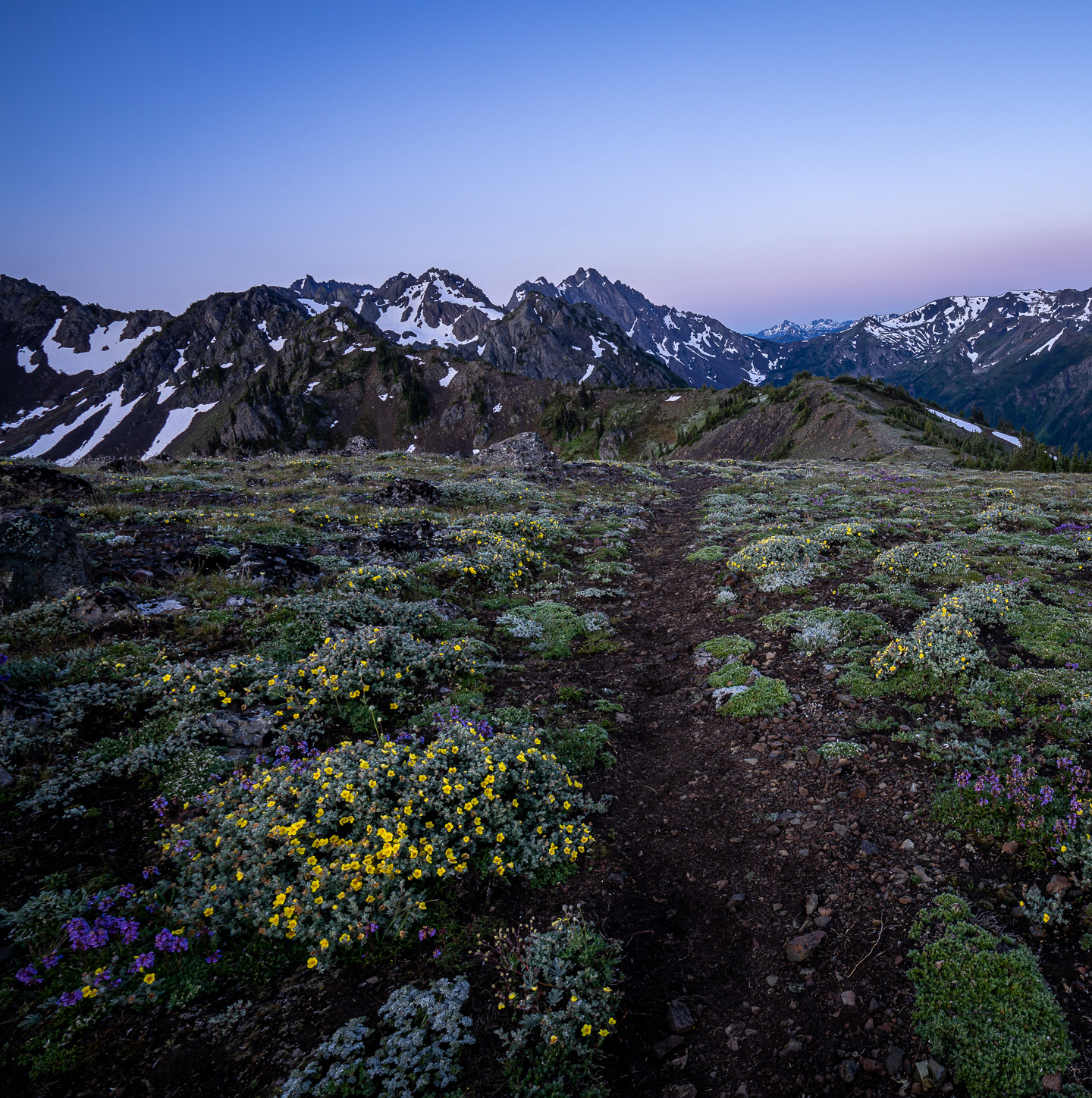 Marmot Pass