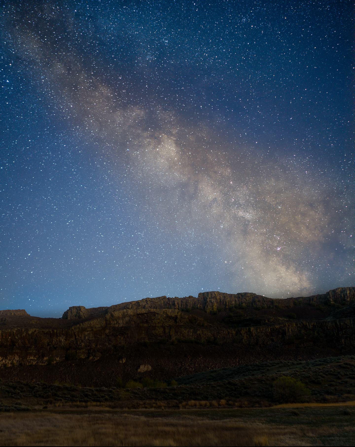 Desert Stars
